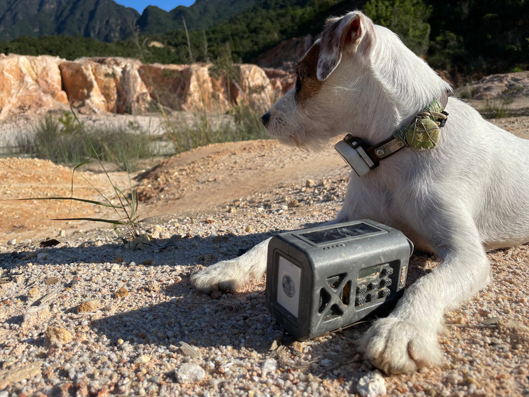 Why Choose Us: The Ultimate Emergency Weather Radio